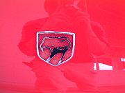 DSCF0578