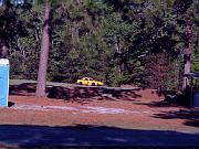 DSCF5467