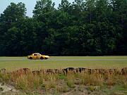 DSCF5643
